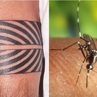 I tatuaggi zebrati allontanano le zanzare: lo studio di alcuni ricercatori