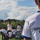 Caffè al posto della cocaina, nuove piantagioni per sostenere le donne colombiane e i loro bambini