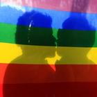 Gay Center vince causa contro Radio Globo: «Lecita l'obiezione commerciale per chi discrimina gay»