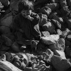 Olanda ha riconosciuto il Genocidio Armeno, ferri corti con la Turchia