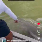 Pescatore lava le mani in acqua, squalo lo morde e lo trascina giù dalla barca: video choc