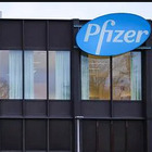 Covid, hacker all'attacco dell'Agenzia europea per il farmaco, Pfizer: «Rubati documenti sul vaccino»