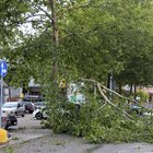 Il maltempo investe il Centro-Nord: tempesta di vento a Bologna, danni e feriti. Tromba d'aria a Senigallia