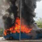 Lanuvio, inferno davanti alla stazione ferroviaria: bus prende fuoco, si alza colonna di fumo nero