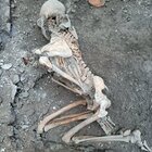 Pompei restituisce due nuove vittime, ci fu un terremoto