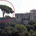 • Crollato lo storico pino di Portofino: cambia il panorama