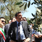 Il ministro: «Ho visto gli uliveti distrutti. Ora basta, faremo di tutto per fermare la xylella» Il ministro: «Ho visto gli uliveti distrutti. Ora basta, faremo di tutto per fermare la xylella»