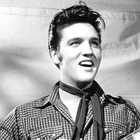 Apple rifiuta di collaborare con Weinstein per il biopic su Elvis Presley