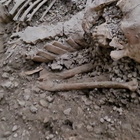 Pompei, emersi due scheletri dagli scavi nell'Insula dei Casti Amanti