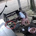 Cobra reale attacca una donna che cucina all'aperto: un solo morso può ucccidere. Il video choc