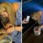Turista svizzera compra un'aragosta al ristorante e la libera in mare: «Voleva salvarla dalla morte»