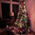 Bambino di 3 anni si sveglia nella notte di Natale e apre i regali di tutta la famiglia: «È il Grinch»