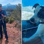 Uomo scomparso da agosto viene ritrovato morto in montagna: il suo cane (vivo) era al suo fianco, ha vegliato su di lui per 2 mesi