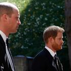 Funerali del principe Flippo, grazie a Kate (che si fa da parte) William e Harry tornano a parlarsi