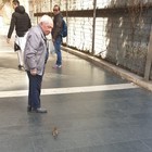 Roma, un topo tra i passeggeri della metro a Cipro