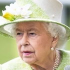 Topi invadono Buckingham Palace, Regina Elisabetta «inorridita»: task force anti-ratto