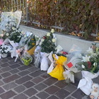 Giulia Cecchettin, fiori e bigliettini fuori la casa della 22enne: sul cancello anche i fiocchi per la laurea messi dalla sorella Elena
