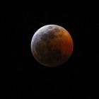 L'eclissi totale di Luna, ecco le immagini catturate in varie parti del mondo