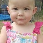 Australia, bimba di un anno sbranata e uccisa nel passeggino da un rottweiler: la mamma la stava portando dalla nonna