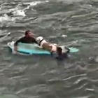 Surfisti eroi salvano il cane dal mare in tempesta, le drammatiche immagini fanno il giro del web