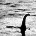Mostro di Loch Ness avvistato da un sonar