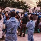 Peste suina, ambientalisti asserragliati per difendere i maiali malati: scontri con la polizia, scoppia il caso FOTO