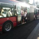 Roma, paura sul bus: bulgara prende a calci una donna e minaccia il figlio con le forbici