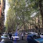 Roma, ramo crolla e si conficca nel parabrezza di un'auto: il conducente salvo per miracolo