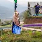 Maiale costretto a fare bungee-jumping per inaugurare un parco in Cina, il video choc