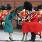 Kate Middleton “rompe” la tradizione di San Patrizio per l'incarico ereditato dopo la morte della regina Elisabetta: il “dispiacere” di William