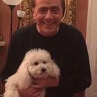 Berlusconi a Roma per incontrare Mario Draghi, c'è anche Dudù: le immagini