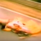 Niki Lauda e quel terribile incidente al Nurburgring: venne salvato da Merzario Video
