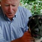 Joe Biden si rompe un piede giocando con il cane: dovrà indossare un tutore