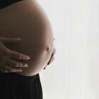 «Vaccino in gravidanza potrebbe proteggere il feto»: trovati anticorpi nel cordone ombelicale