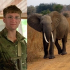 Giovane soldato inglese muore calpestato da un elefante in una riserva naturale