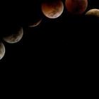Eclissi totale di Luna e oroscopo: come cambieranno i segni zodiacali dopo il 21 Gennaio