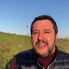 Gregoretti, Salvini: "Schifato da persecuzione e pseudo-inchiesta"