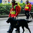 Giulia Cecchettin, parla il volontario della protezione civile che ha trovato il corpo: «Fondamentale l'olfatto del cane Jageer»