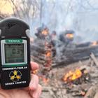 Chernobyl, incendio nell'area boschiva fa salire la radioattività: «Livelli altissimi»