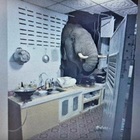 L'elefante "sfondatutto" thailandese torna a colpire: distrugge una veranda per rubare cibo per gatti