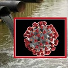 Coronavirus in Italia già a dicembre, lo studio Iss: «Trovate tracce di Covid nell'acqua di scarico di Milano e Torino»