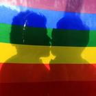 Omofobia, in Commissione Giustizia adottato il ddl Zan. Lega e Fdi votano contro
