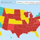 Usa, diritto all'aborto: cosa succede ora? Ci sono 23 Stati americani pronti a vietare l'interruzione di gravidanza