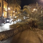 Palermo, tempesta di vento: alberi caduti e tetti divelti. I vigili del fuoco: «E' stato un inferno»