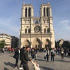 Notre-Dame, la bimba gioca col papà prima dell'incendio: la foto condivisa migliaia di volte, ecco perché