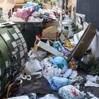 Effetto caos rifiuti a Roma, topi nei palazzi: boom disinfestazioni