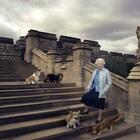Regina Elisabetta, ha perso Vulcan un altro dei suoi cani dorgi: «Duro colpo per lei»