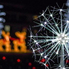 Le "Lucine di Natale" si accendono per la magia delle feste: ecco dove vedere lo spettacolo luminoso