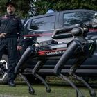 Saetta, il primo cane robot arruolato dai carabinieri: sarà assegnato al Nucleo artificieri di Roma