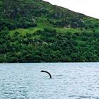 Mostro di Loch Ness